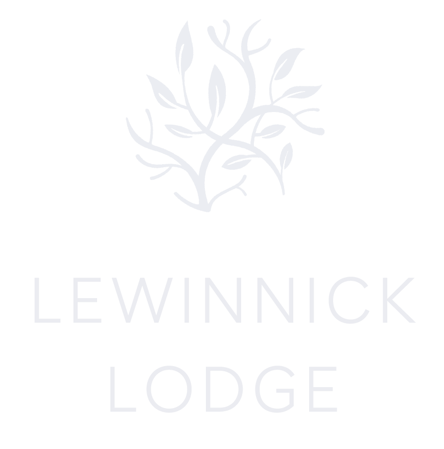 The logo for lewinnick