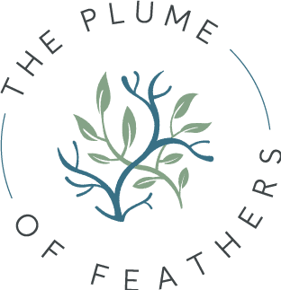 The logo for The Plume Mitchell