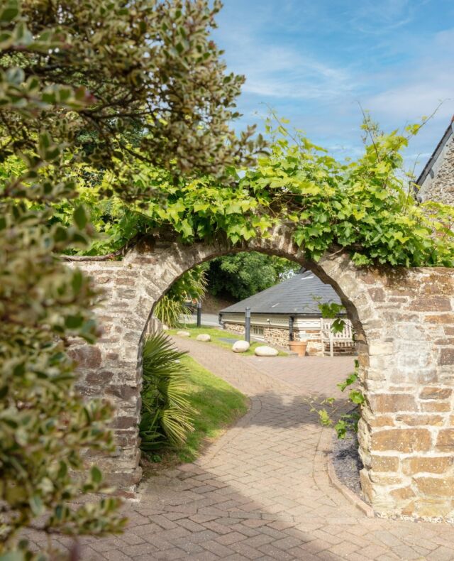 We can't wait for the Plume's plants and flowers to spring fully into life this summer. A beautiful meander through the gardens on your way to dinner. ⁠
⁠
⁠
⁠
#theplume #newquay #newquayrestaurant #cornwallliving #summerholidays