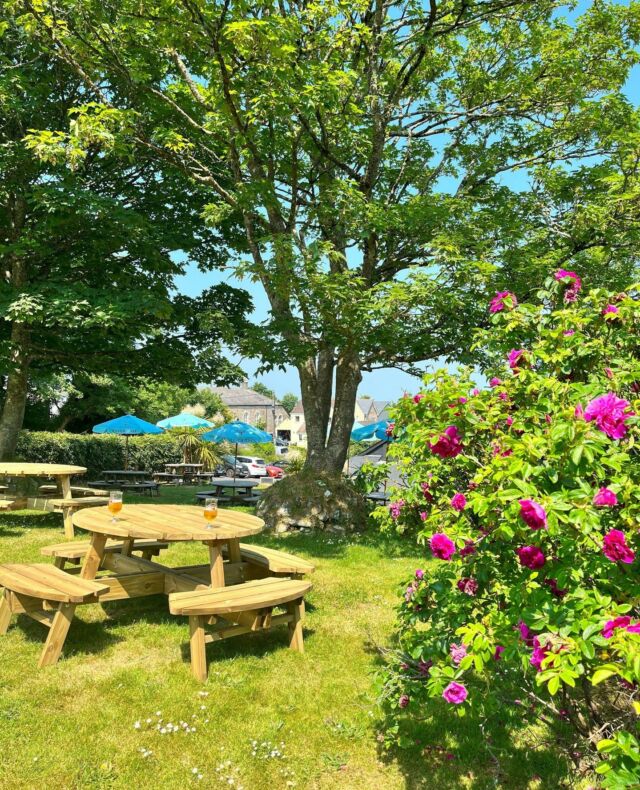 We're counting down the days until the summer sun warms the beer garden. See you there with your favourite tipple ☀️⁠
⁠
⁠
⁠
#beergarden #theplume #newquay #cornwallliving #cornwallrestaurant #summerholiday #pubvisit